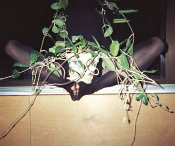 169001, z cyklu Plants are Friends