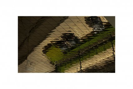 Study °1 208001, z cyklu Studies for The Unusual Adventures of Riding in Silence