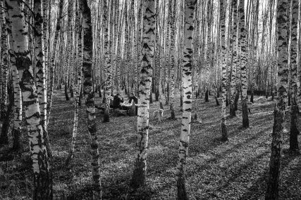Velké Budky (Sumská oblast), Ukrajina 210004