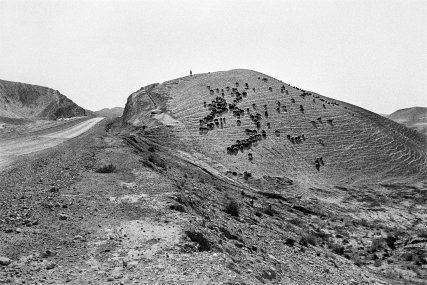 Nabi Musa (nedaleko Jericha), Izrael 210009