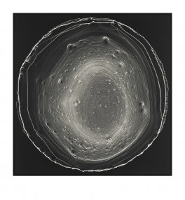 Násych – zvětšenina 2 047013