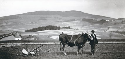 rolník v Křižlicích 281001